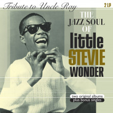 Tribute to Uncle Ray / The Jazz Soul of Little Stevie