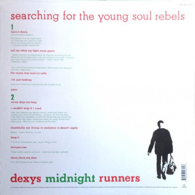 Searching For The Young Soul Rebels