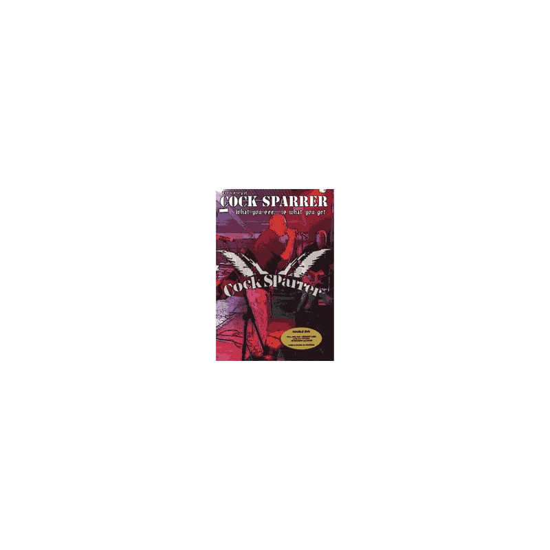 What You See Is What You Get - The History of... (2xDVD)